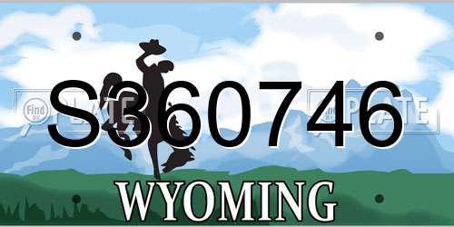 S360746 Wyoming License Plate