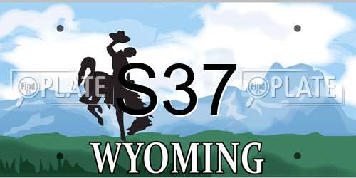 S37 Wyoming License Plate