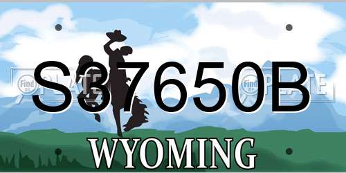 S37650B Wyoming License Plate