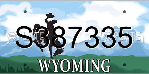 S387335 Wyoming License Plate
