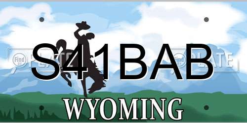 S41BAB Wyoming License Plate