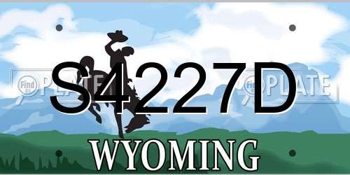 S4227D Wyoming License Plate