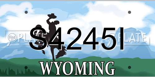S4245I Wyoming License Plate