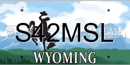 S42MSL Wyoming License Plate