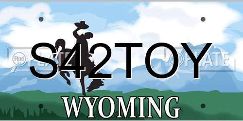S42TOY Wyoming License Plate