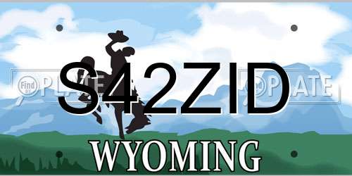 S42ZID Wyoming License Plate