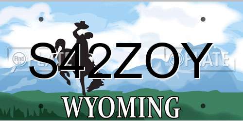 S42ZOY Wyoming License Plate