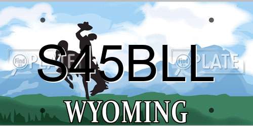 S45BLL Wyoming License Plate