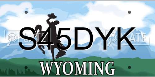 S45DYK Wyoming License Plate