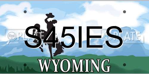 S45IES Wyoming License Plate