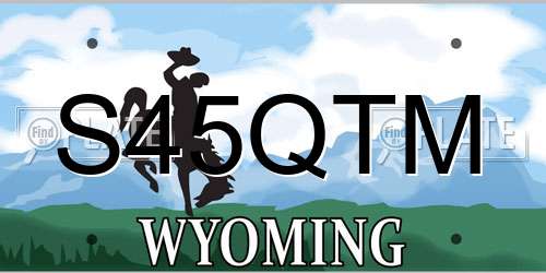 S45QTM Wyoming License Plate