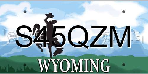 S45QZM Wyoming License Plate