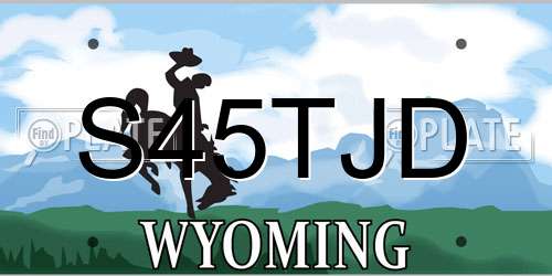 S45TJD Wyoming License Plate
