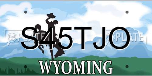 S45TJO Wyoming License Plate