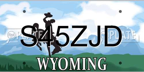 S45ZJD Wyoming License Plate
