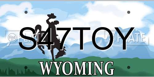 S47TOY Wyoming License Plate