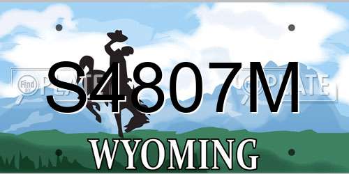 S4807M Wyoming License Plate