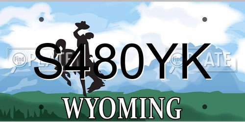 S480YK Wyoming License Plate