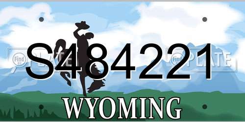 S484221 Wyoming License Plate