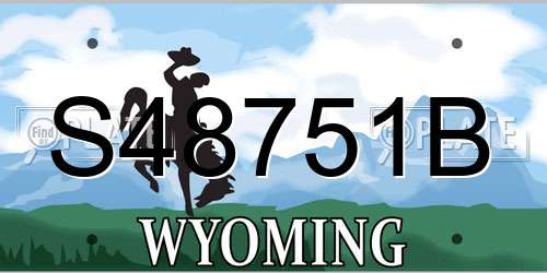 S48751B Wyoming License Plate