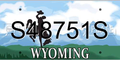 S48751S Wyoming License Plate