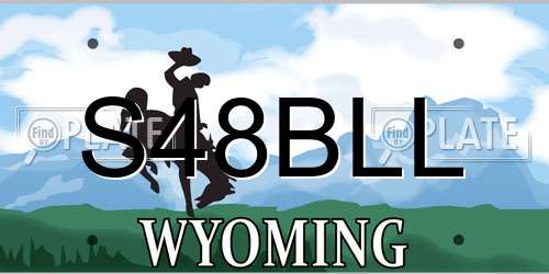 S48BLL Wyoming License Plate