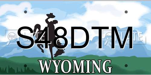 S48DTM Wyoming License Plate