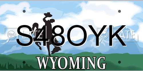S48OYK Wyoming License Plate