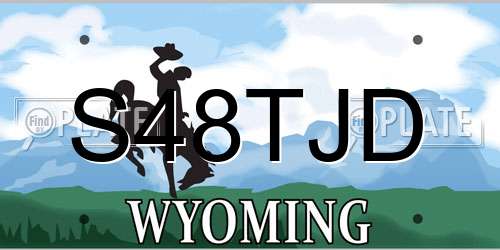 S48TJD Wyoming License Plate