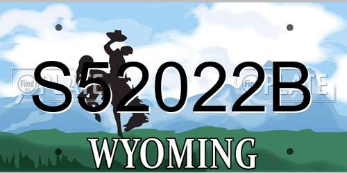 S52022B Wyoming License Plate