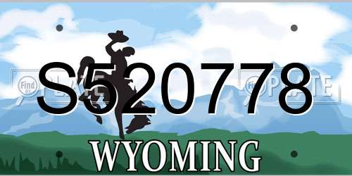 S520778 Wyoming License Plate