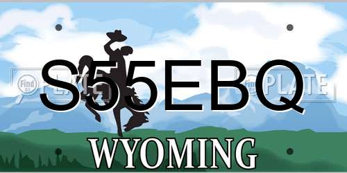 S55EBQ Wyoming License Plate