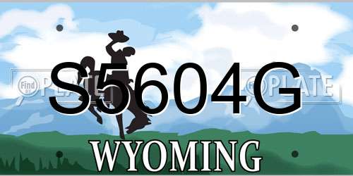 S5604G Wyoming License Plate