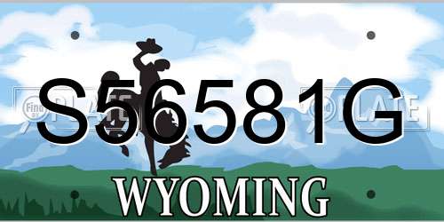 S56581G Wyoming License Plate