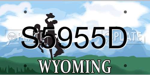 S5955D Wyoming License Plate