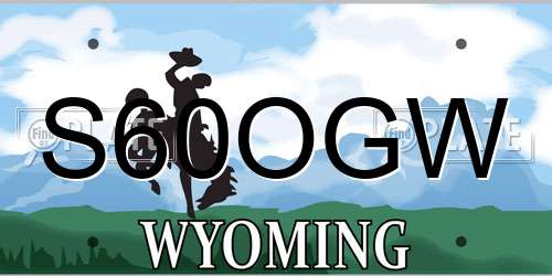 S60OGW Wyoming License Plate