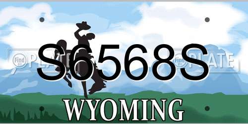S6568S Wyoming License Plate