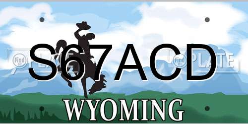 S67ACD Wyoming License Plate