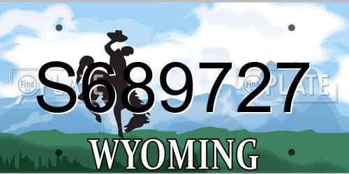 S689727 Wyoming License Plate