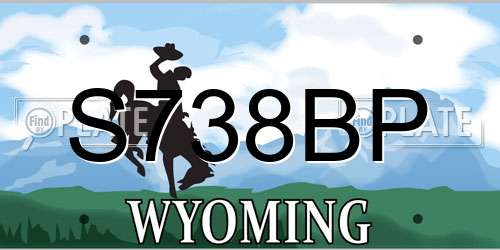 S738BP Wyoming License Plate