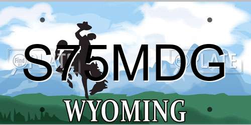 S75MDG Wyoming License Plate