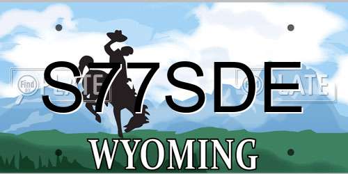S77SDE Wyoming License Plate
