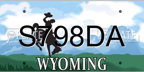 S798DA Wyoming License Plate