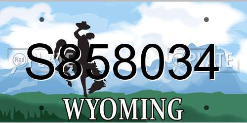 S858034 Wyoming License Plate