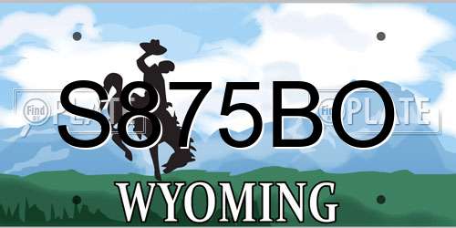 S875BO Wyoming License Plate