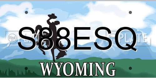 S88ESQ Wyoming License Plate
