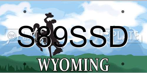 S89SSD Wyoming License Plate