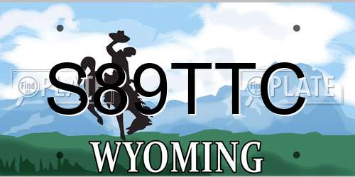 S89TTC Wyoming License Plate