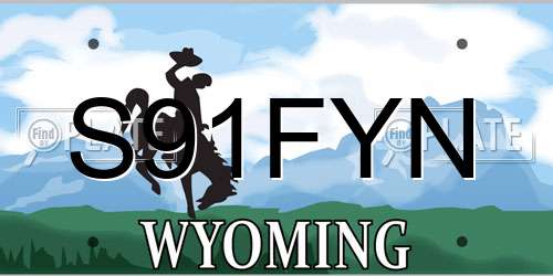 S91FYN Wyoming License Plate