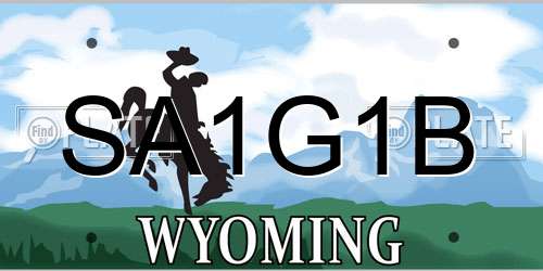 SA1G1B Wyoming License Plate